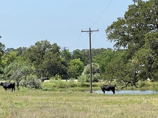 1583 S Us Highway 77 Hwy — photo 1
