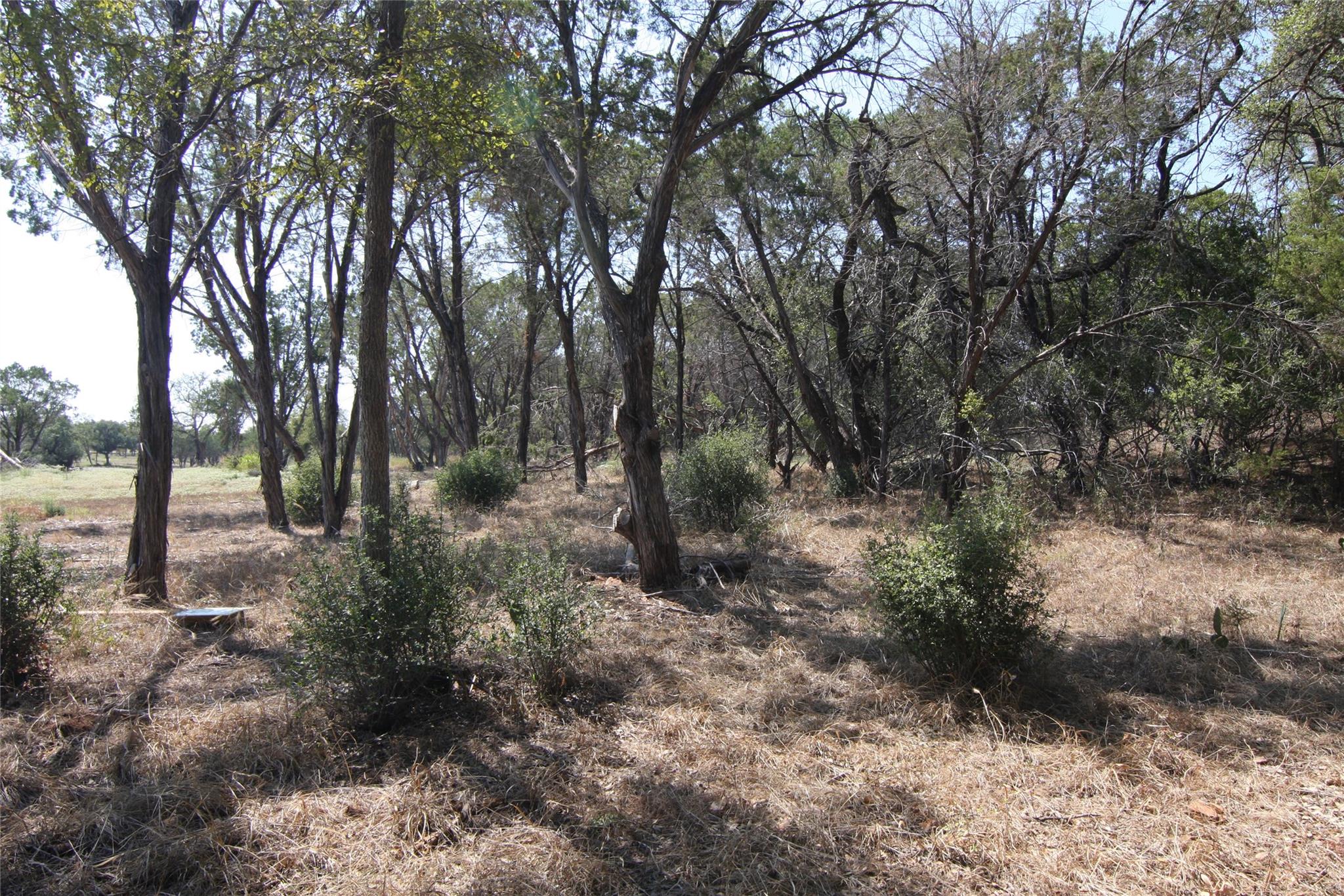 LOT 78 Laurel Wood Ct — photo 1