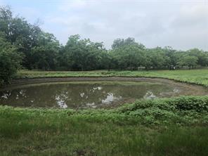 29 CR 126 None — photo 1
