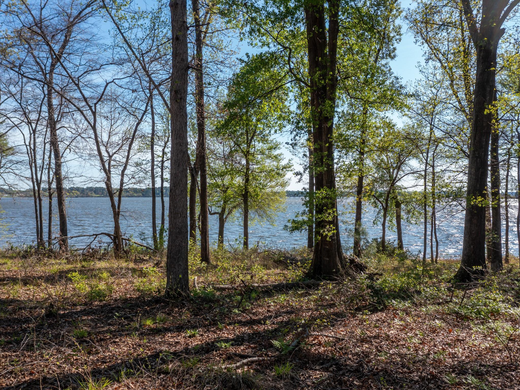 3108 Shadow Pine Dr — photo 1