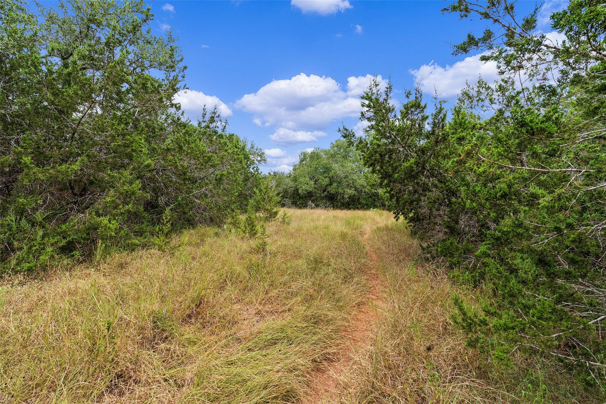 TBD Escarpment Blvd — photo 1
