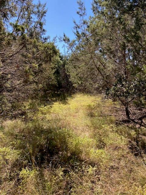 55 York Creek Rd — photo 1