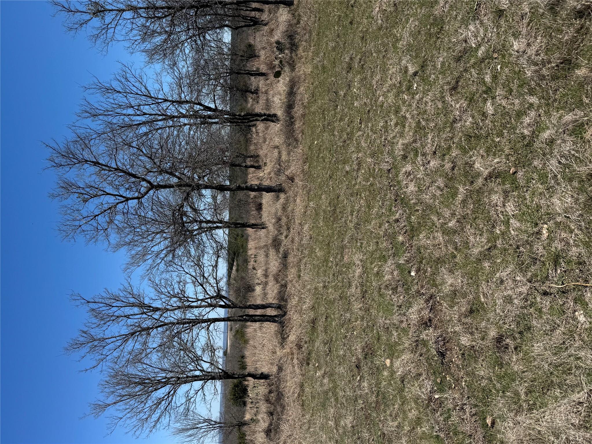 Shooting Star Lot 28 . None — photo 1