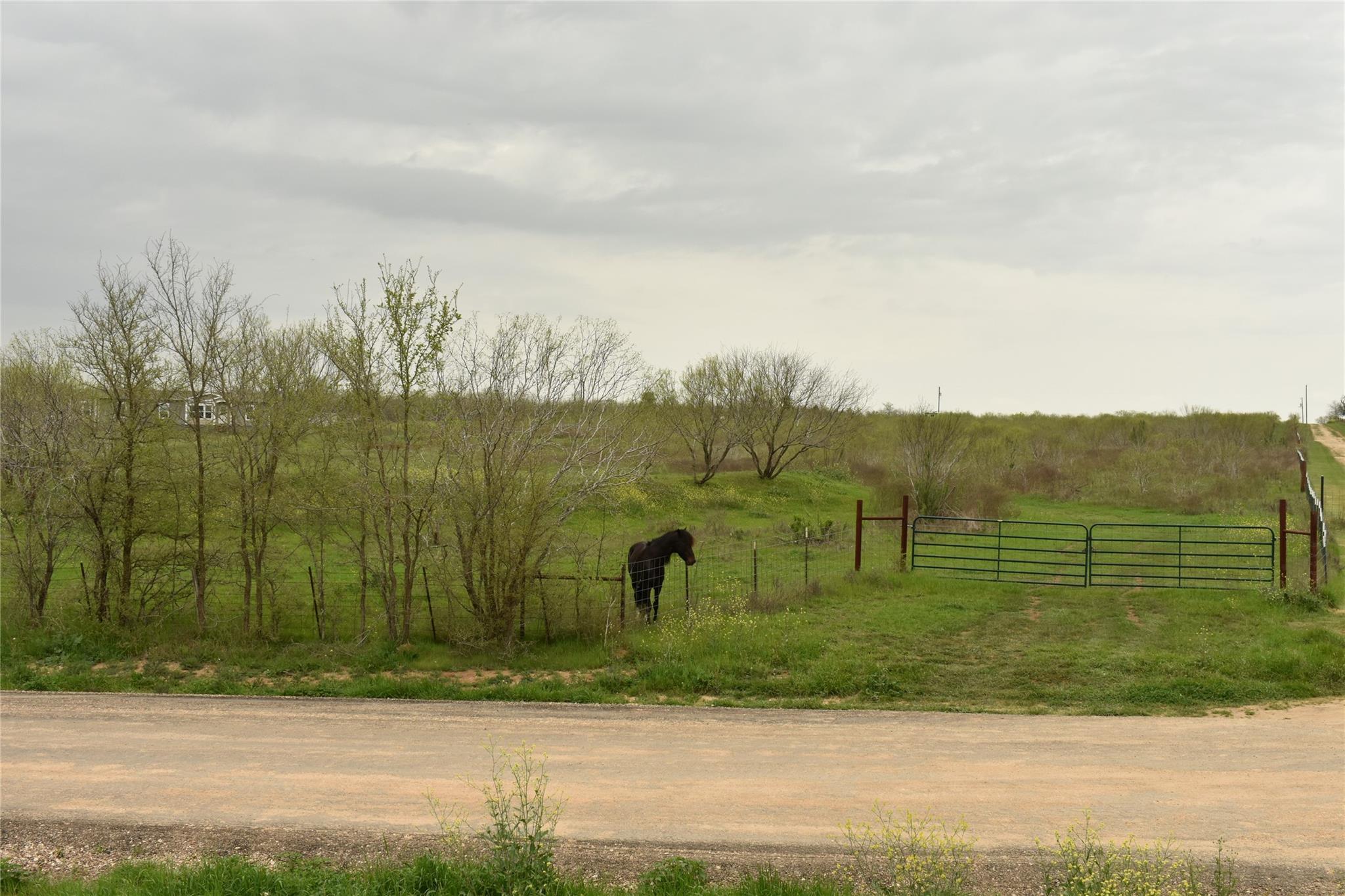 TBD Anderson Ln — photo 1