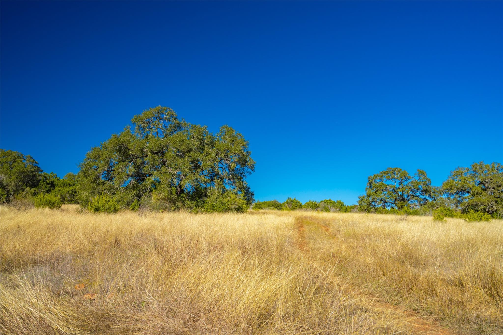 0 Quail Run Dr — photo 1