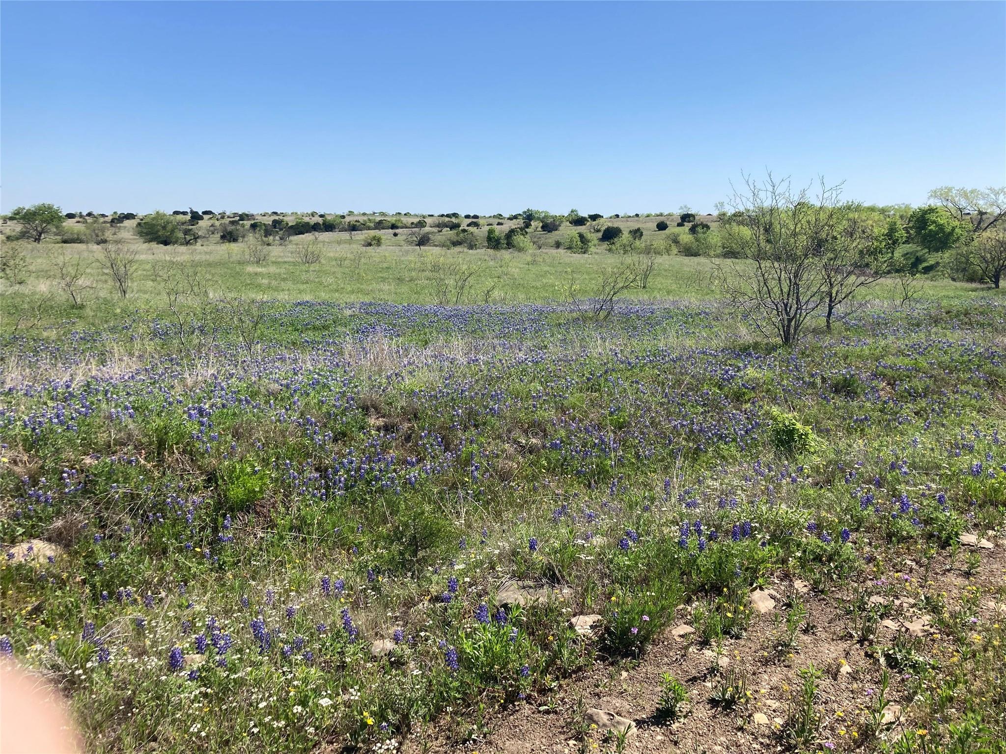 TBD Tract 9 CR 414 None — photo 1