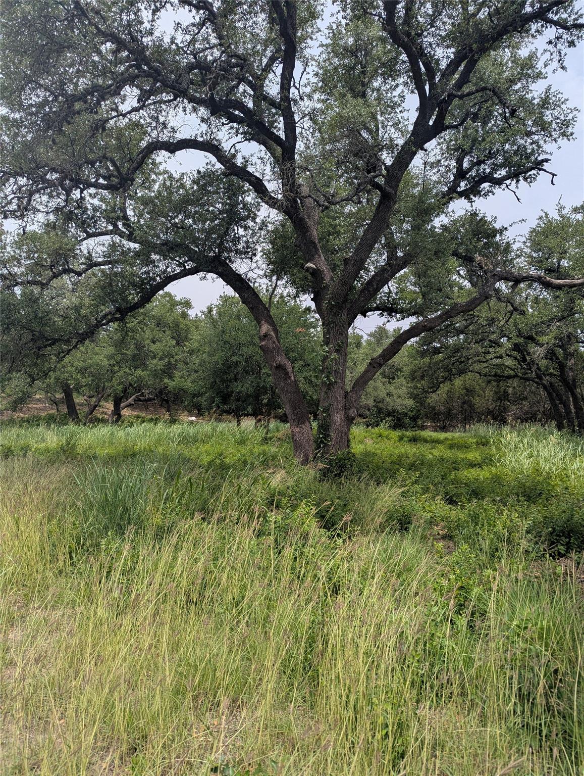 Lot 2 Hamilton Pool Rd — photo 1