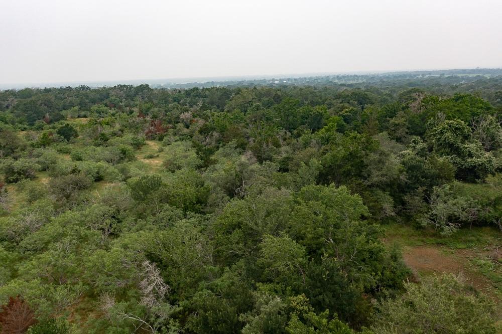 LOT 2 Private Road 4601 None — photo 1