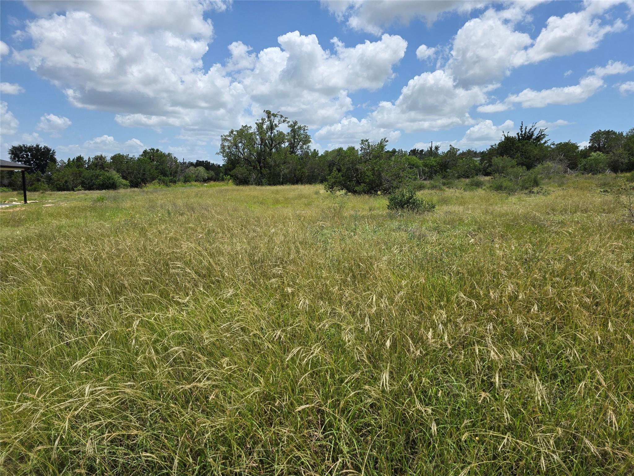 241 Spicewood Trails Dr — photo 1