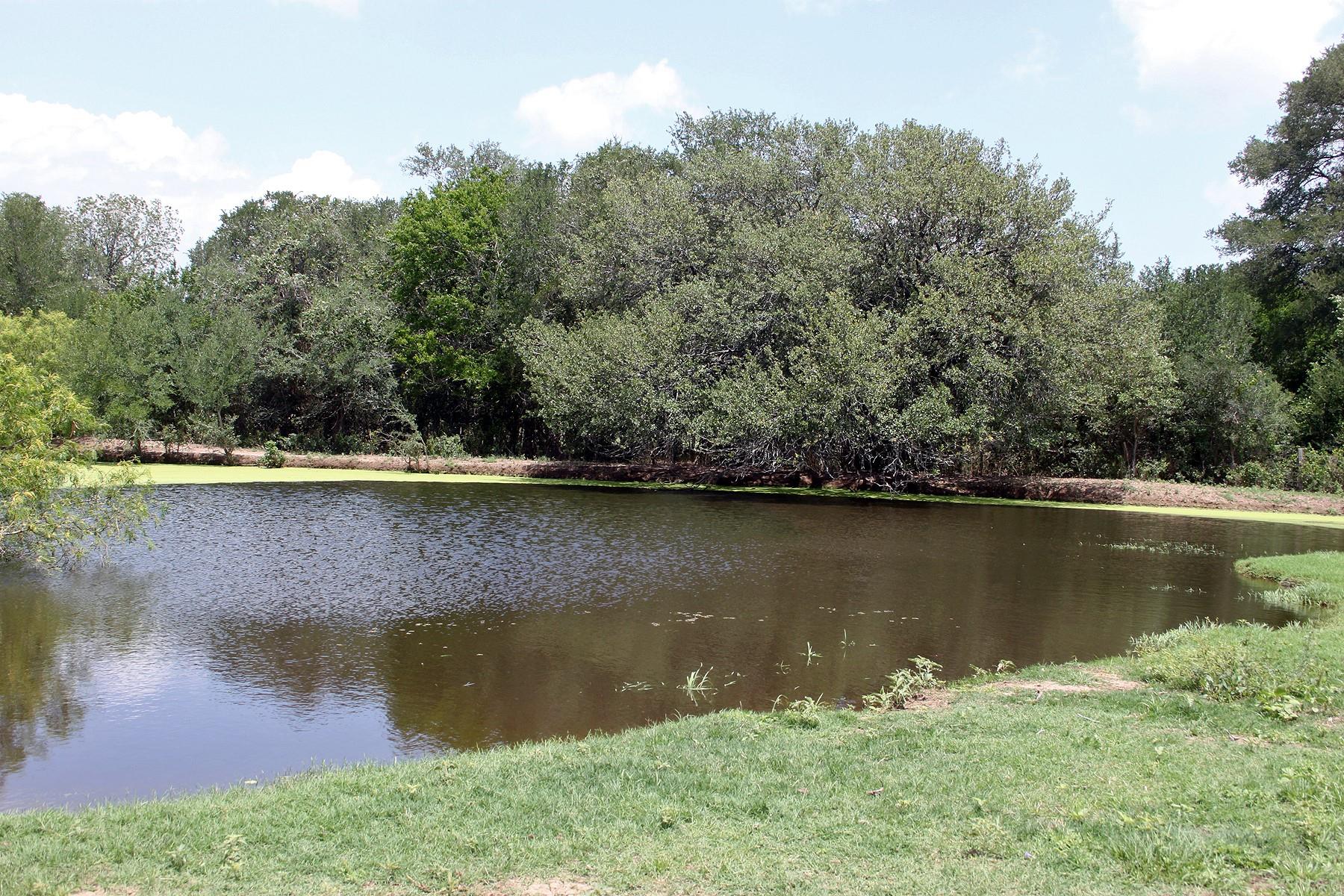 9411 FM 86 Hwy — photo 1