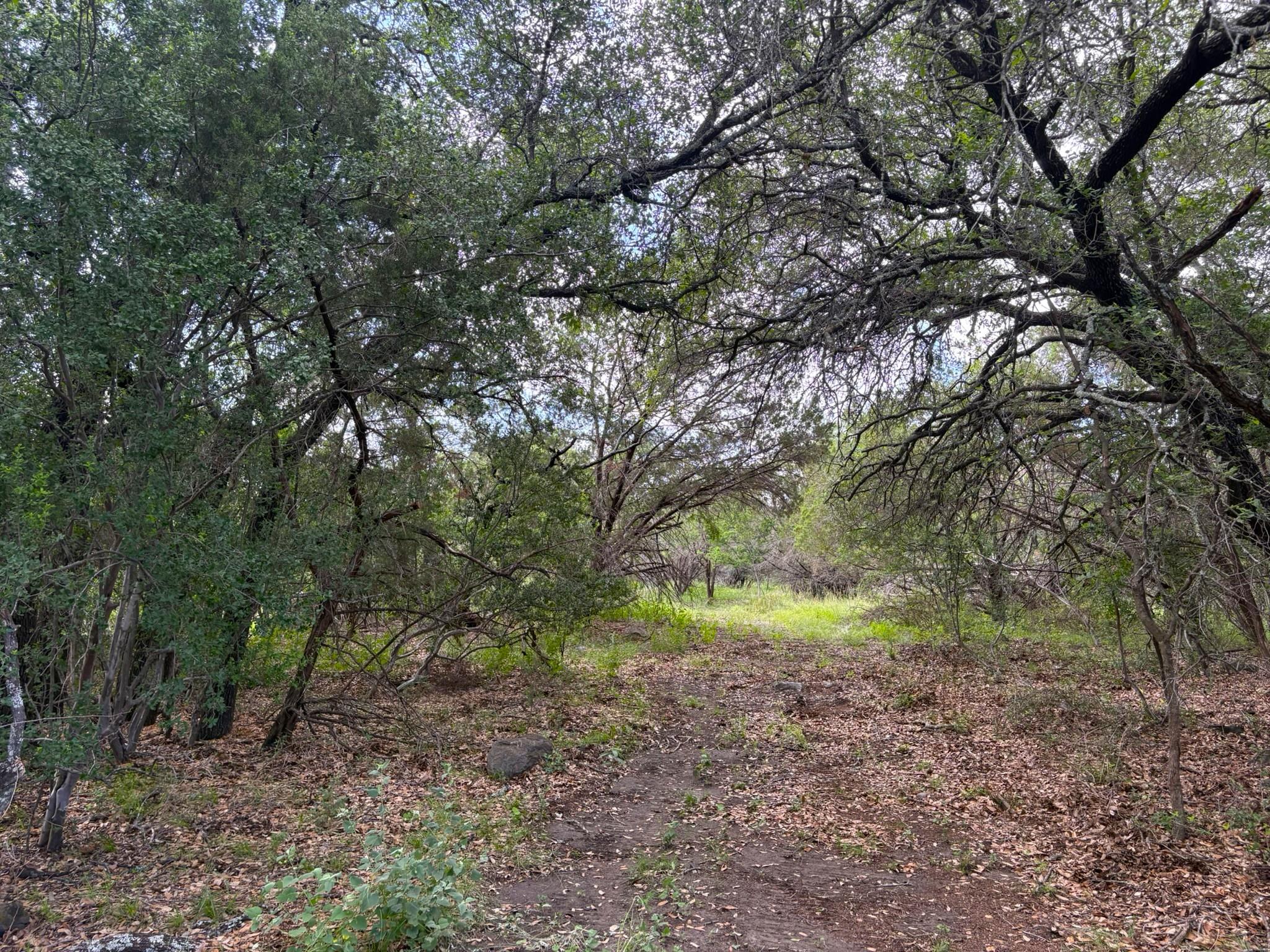 380 Sandy Mountain None — photo 1