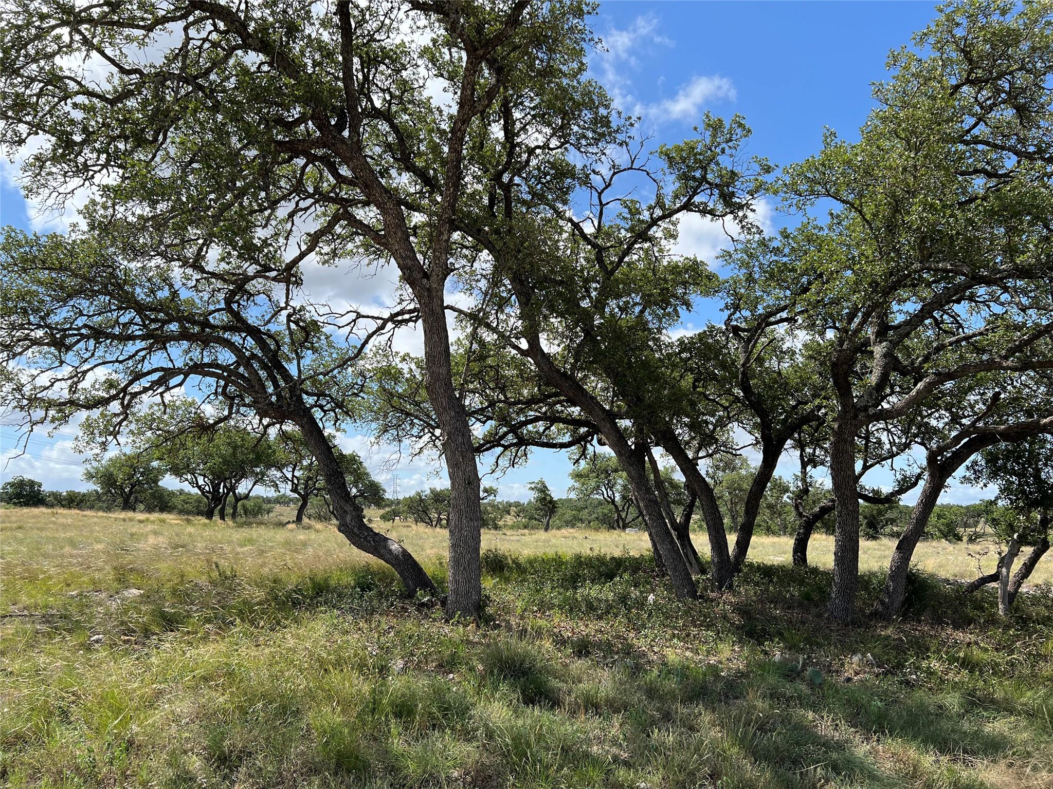 Lot 80 Seven Springs Rnch — photo 1