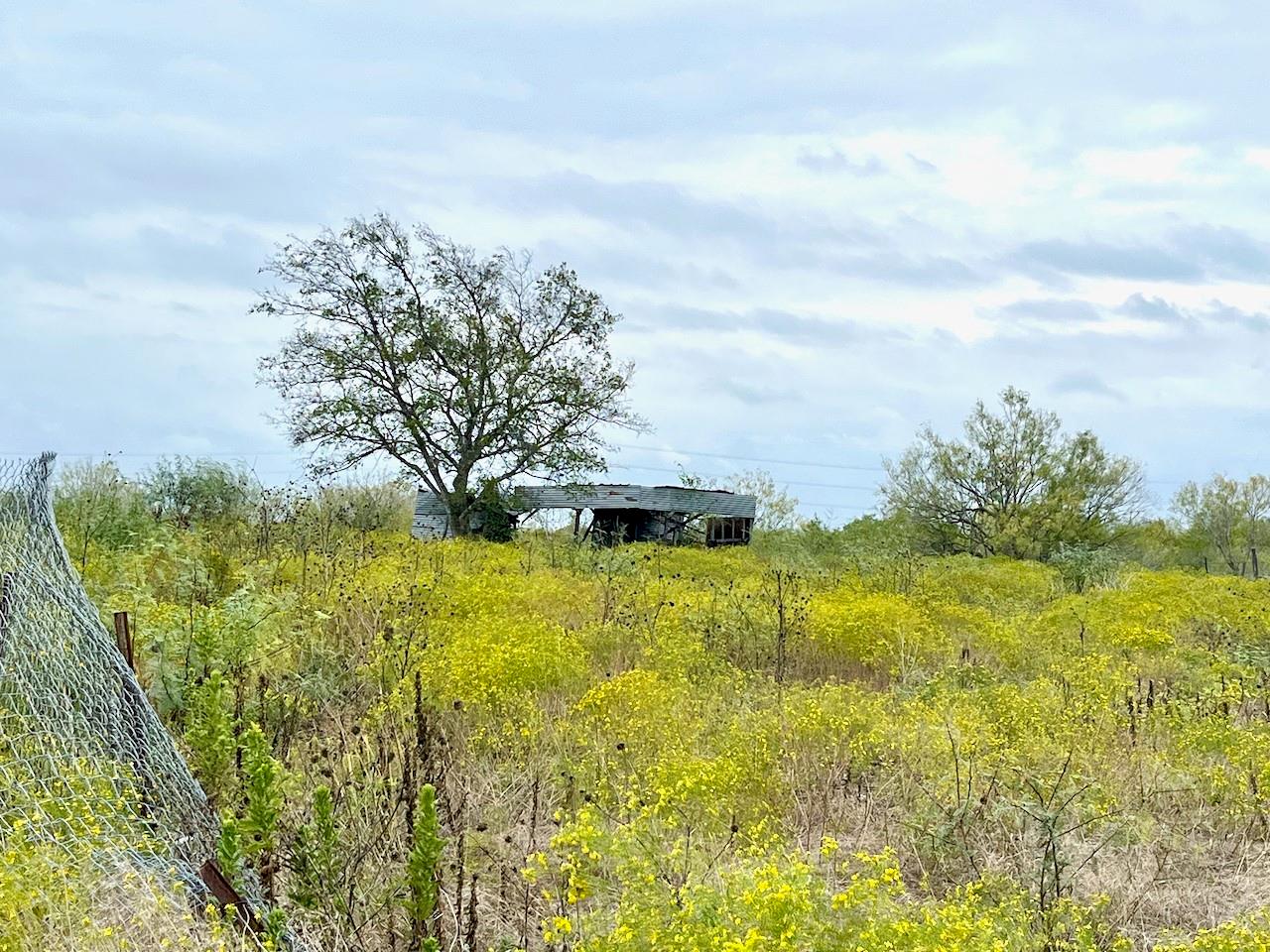 11604 Moore Rd — photo 1