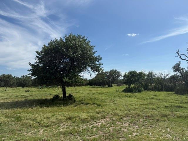 TBD W 29 Hwy — photo 1