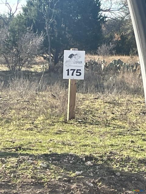 Lot 175 Heartleaf Drive None — photo 1