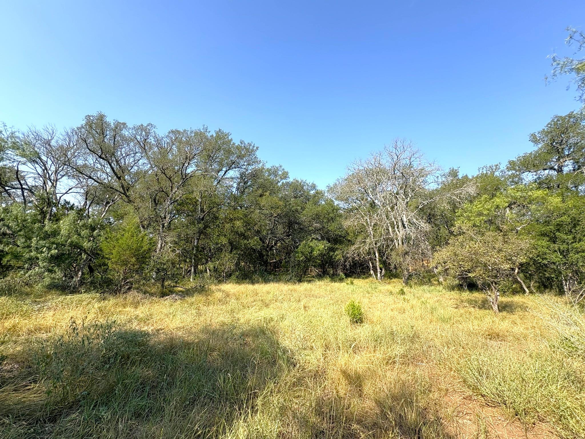 TBD Lot 3 Sandy Mountain None — photo 1