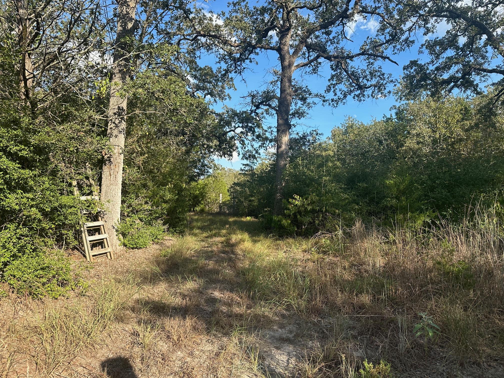 000 Rook Rd — photo 1