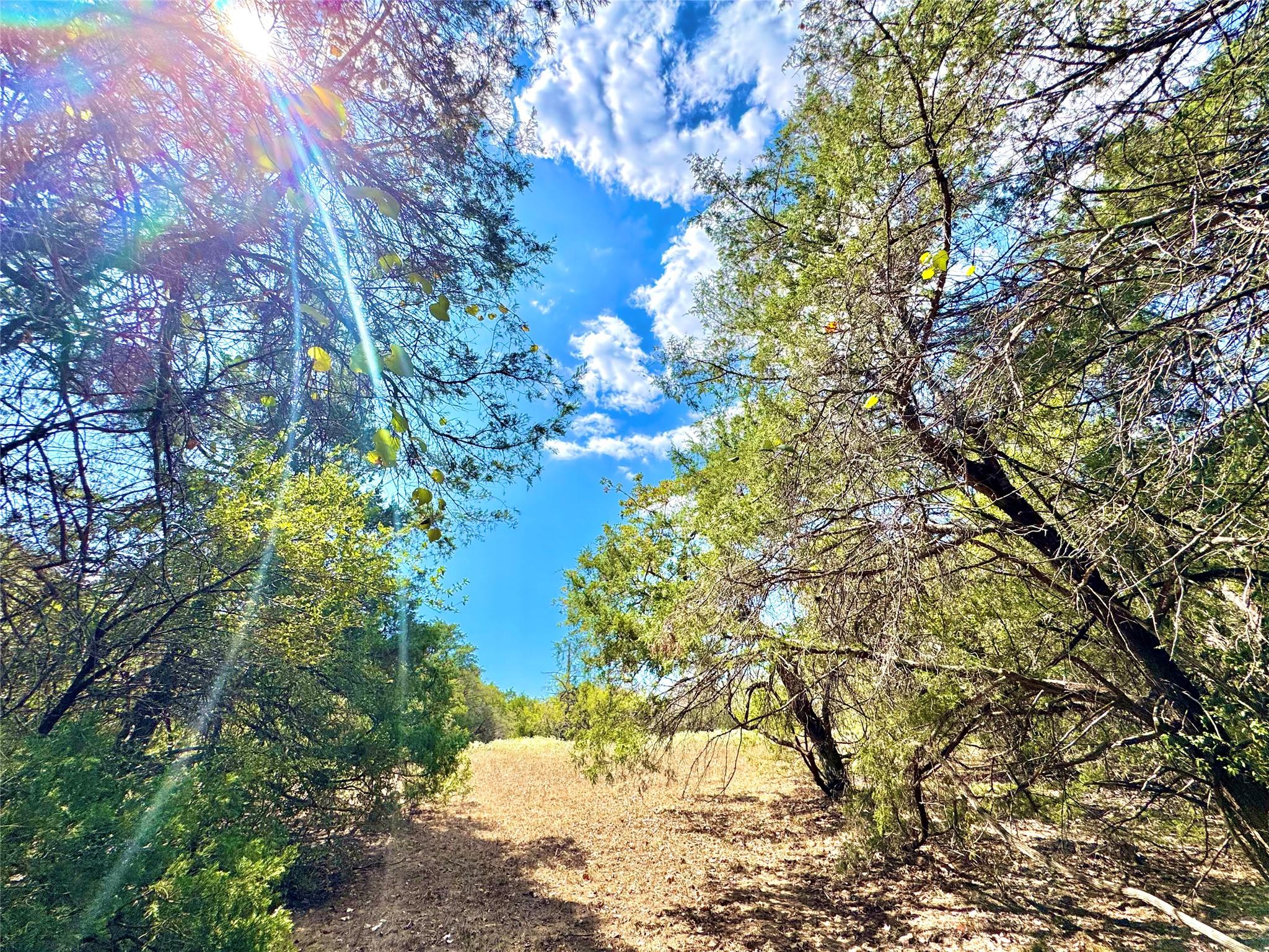 TBD 50.62 Acres Rabel Rd — photo 1