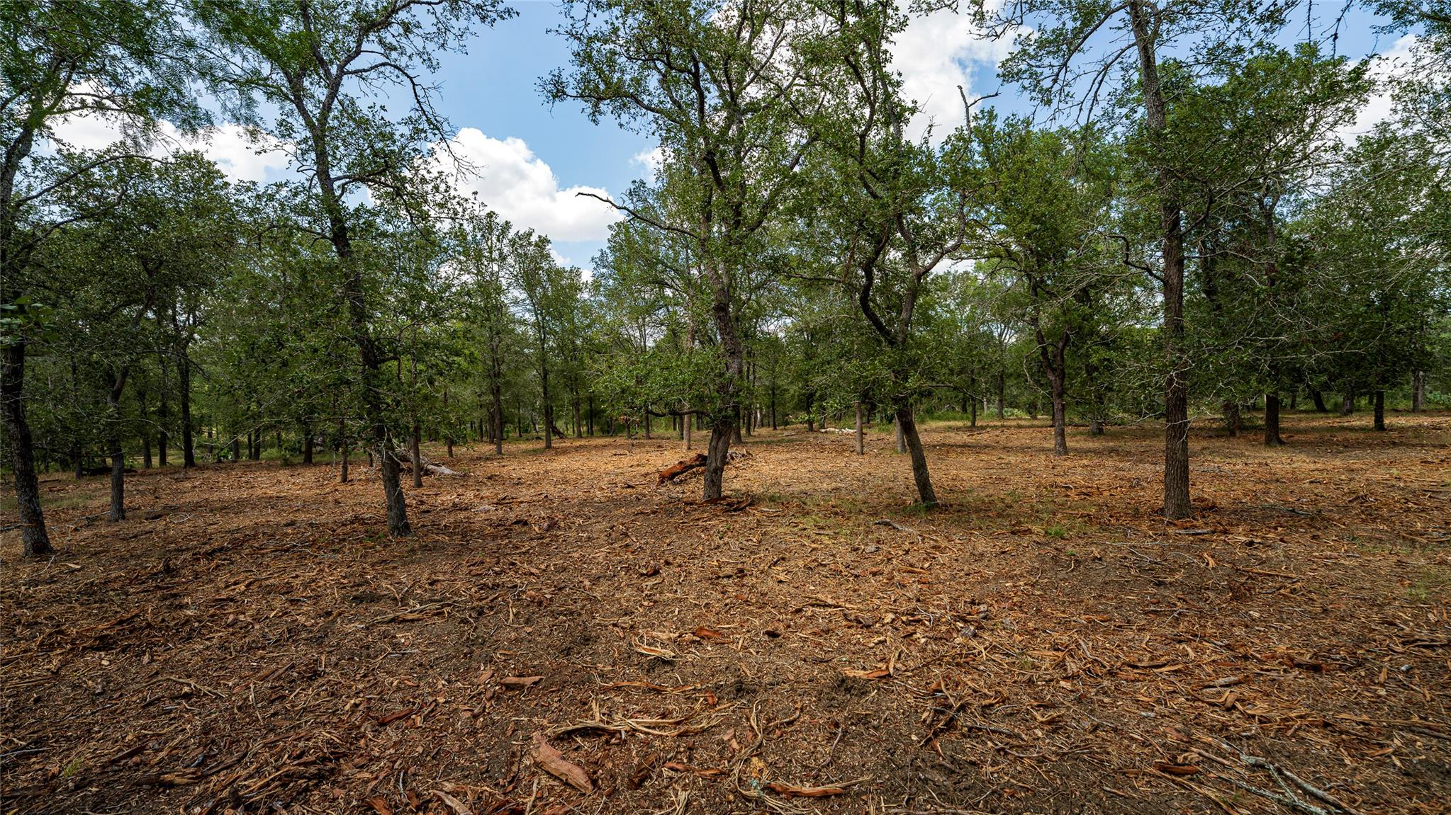 3980 (Tract 5) Fm 3158 None — photo 1