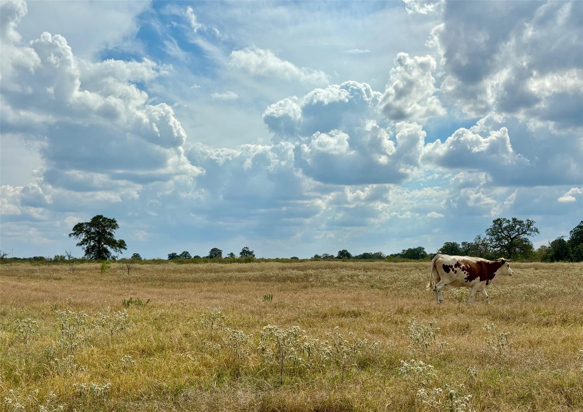 3 Big Sky Ranch Rd — photo 1