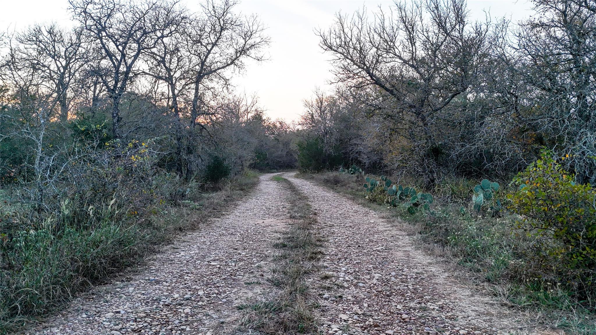 137 Shady Oaks Loop — photo 1