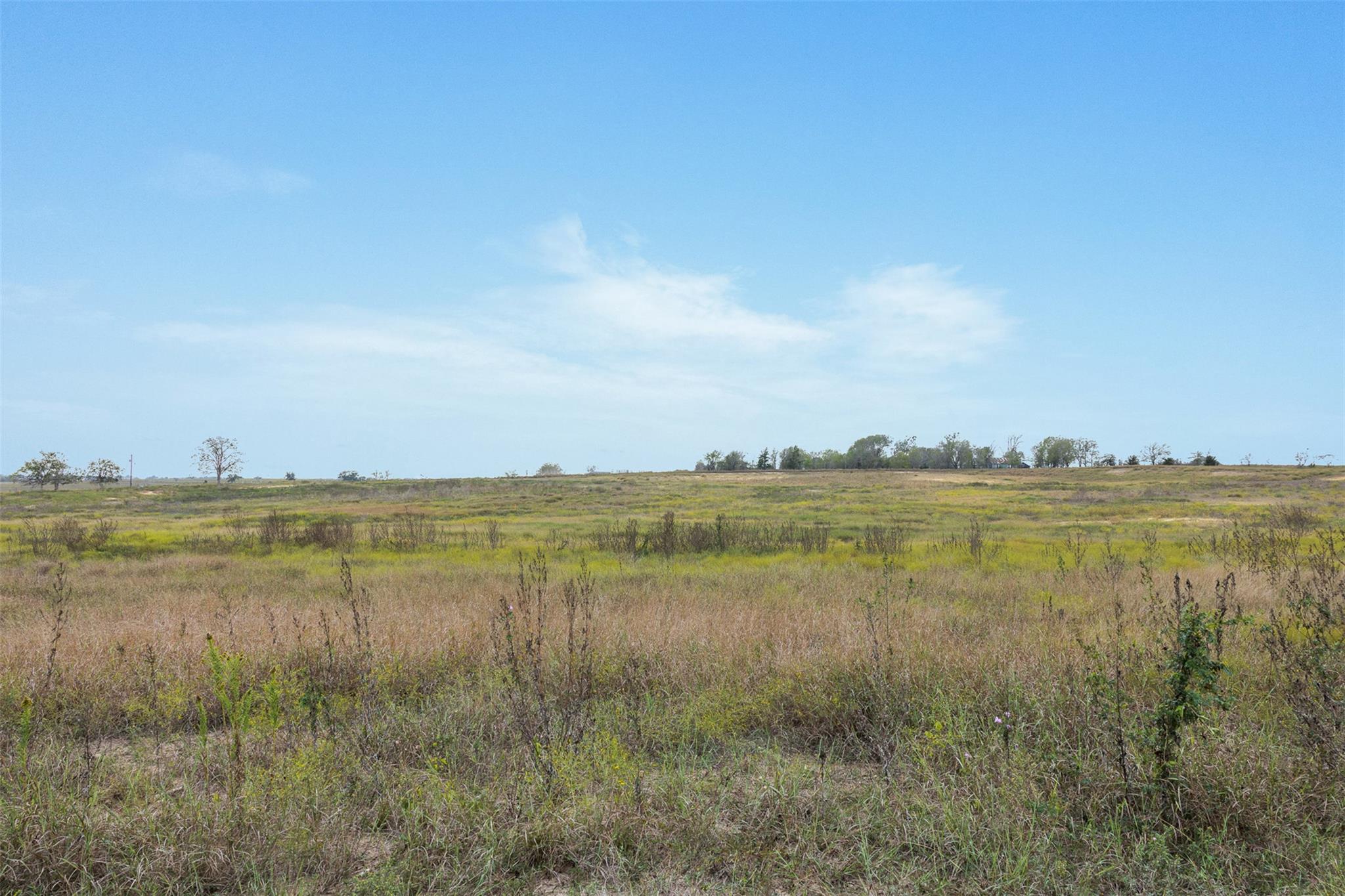 Lot 1 County Road 335 None — photo 1