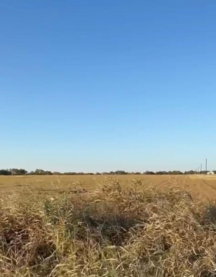 TBD County Road 133 Ctr #Lot 6 — photo 1