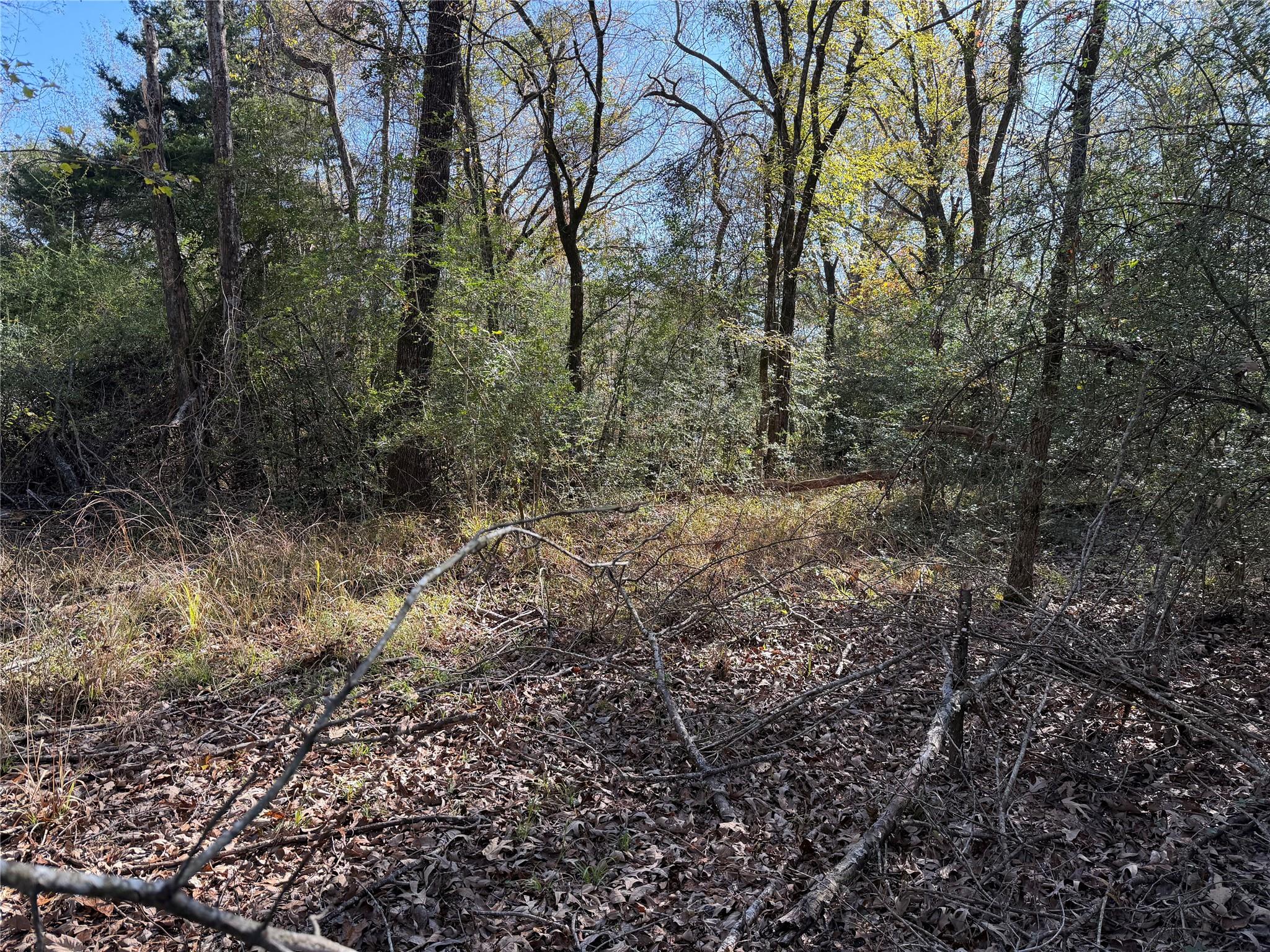 128 County Road 301 Tract 7 None — photo 1