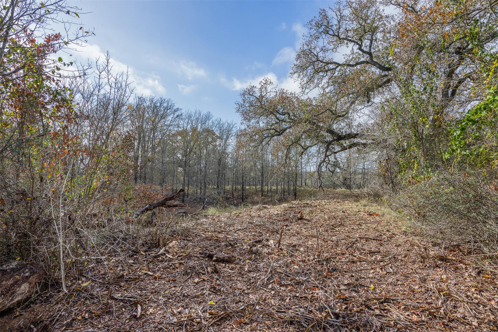 1050 Bugtussle Ln — photo 1