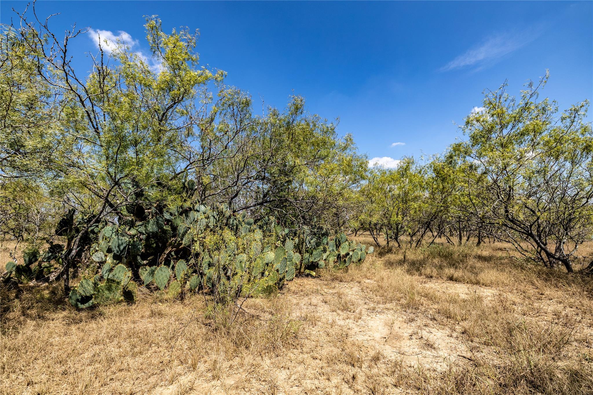 TBD Lot 2 Track Rd — photo 1