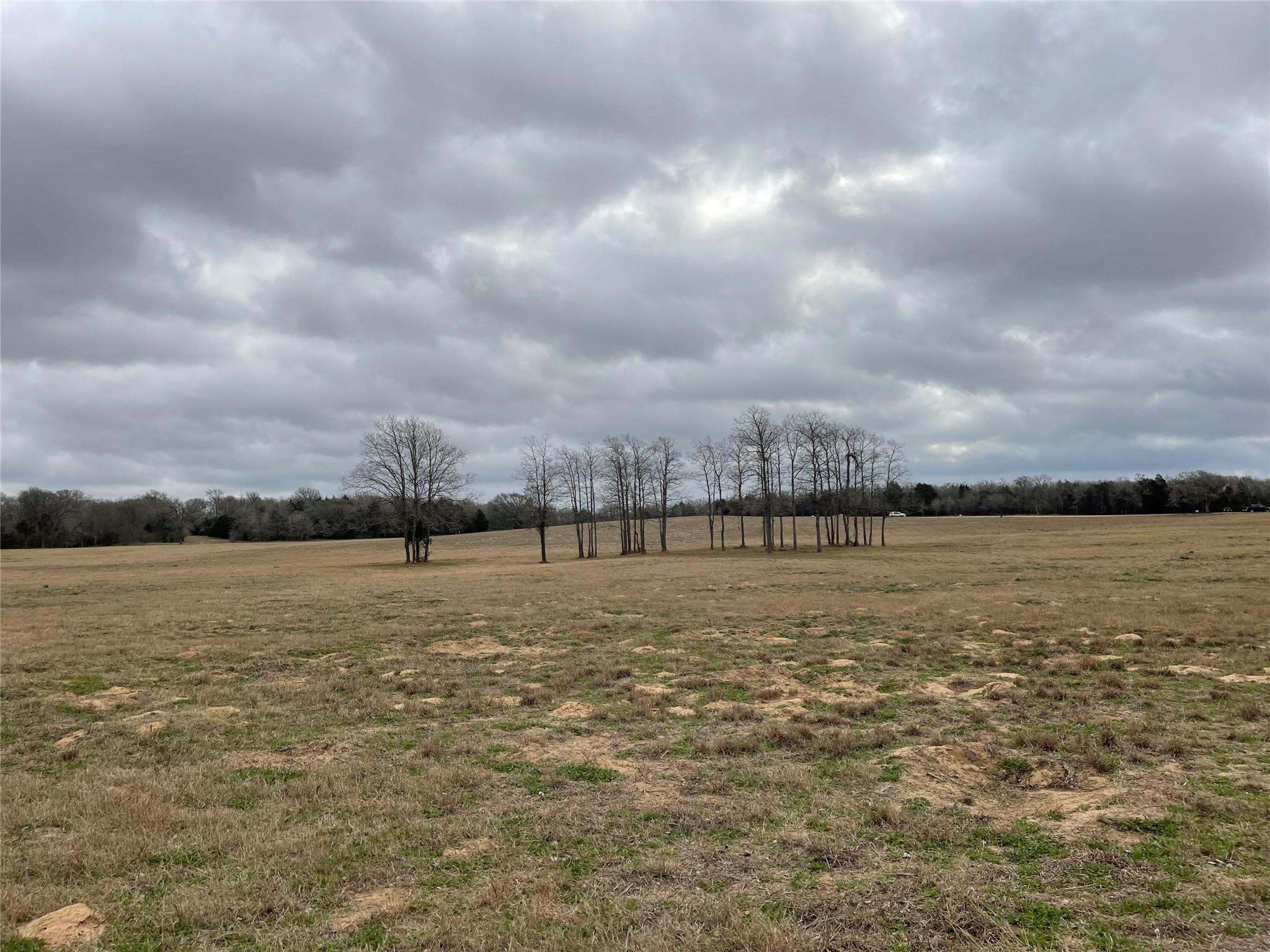 1498 Walleye Creek Ln — photo 1