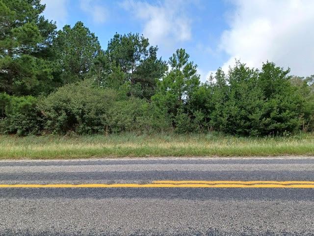 7179 FM 141 None — photo 1