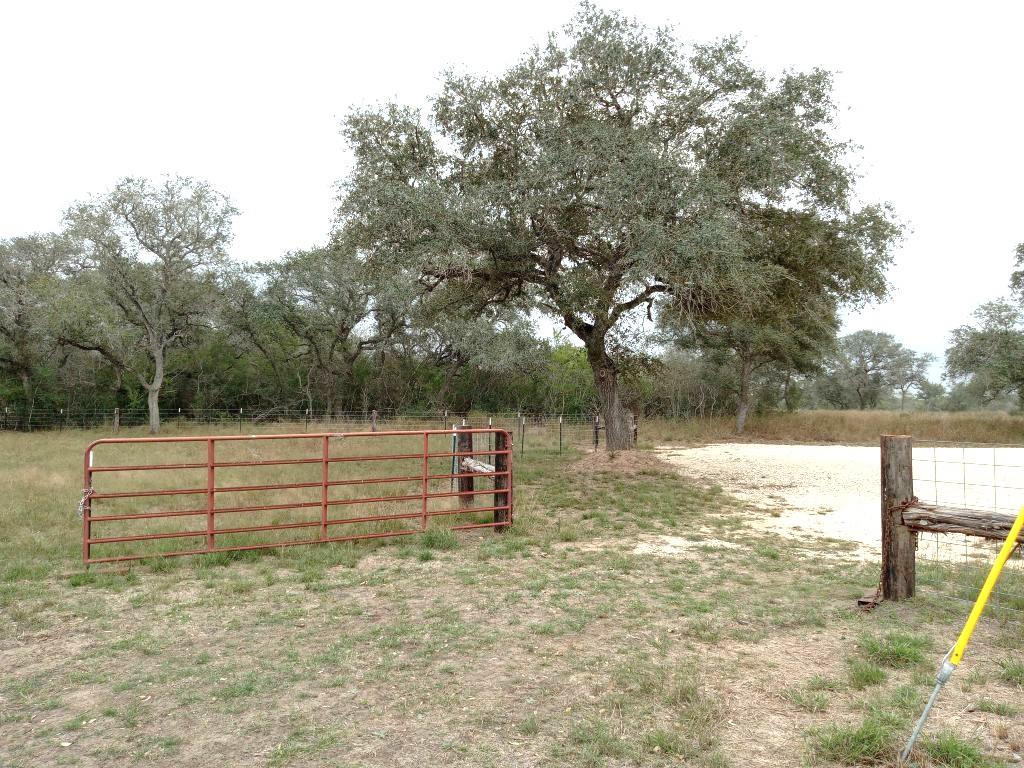 251 Lefty Lane Ln — photo 1