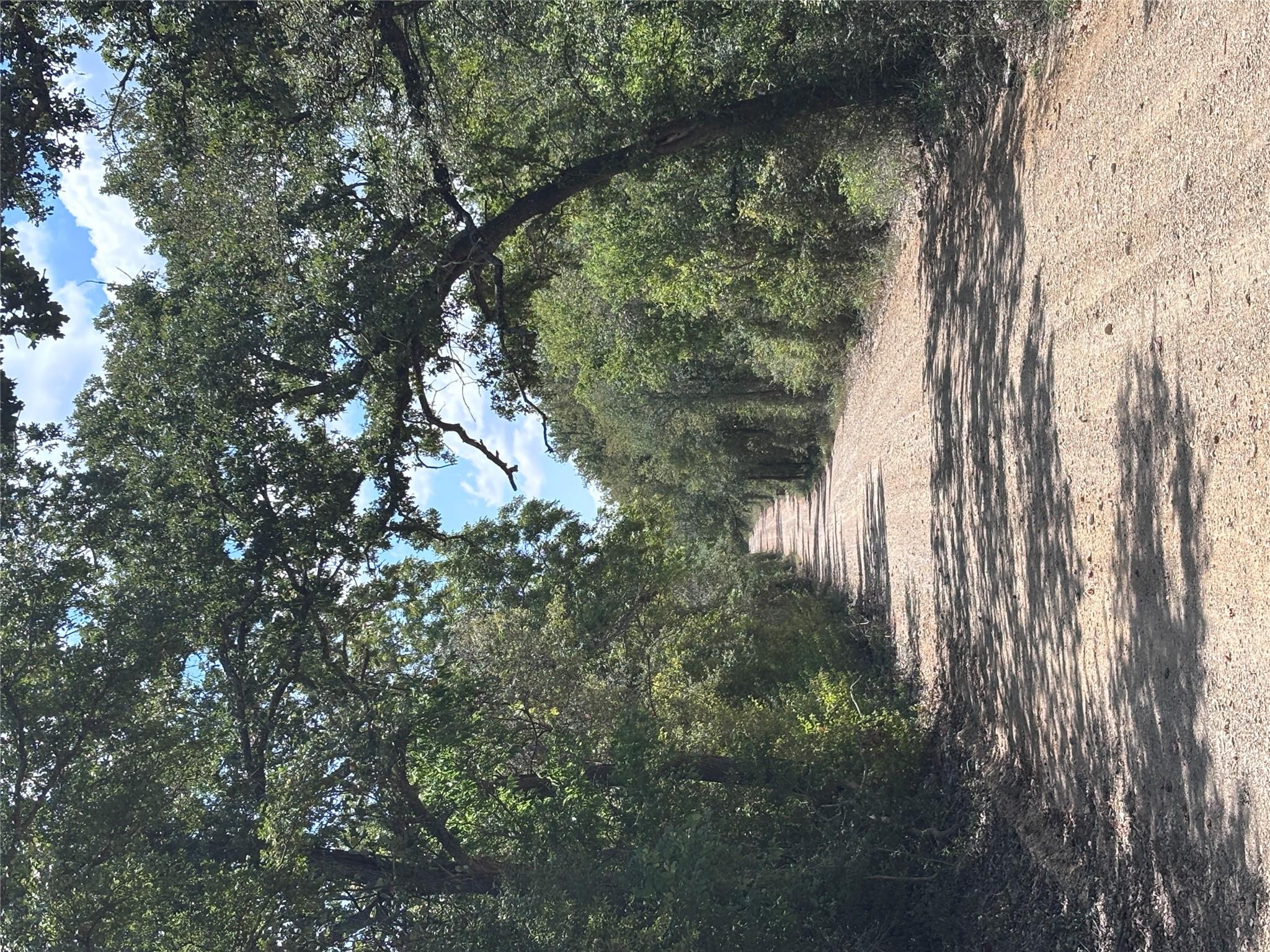 TBD 10.04 AC County Road 413 None — photo 1