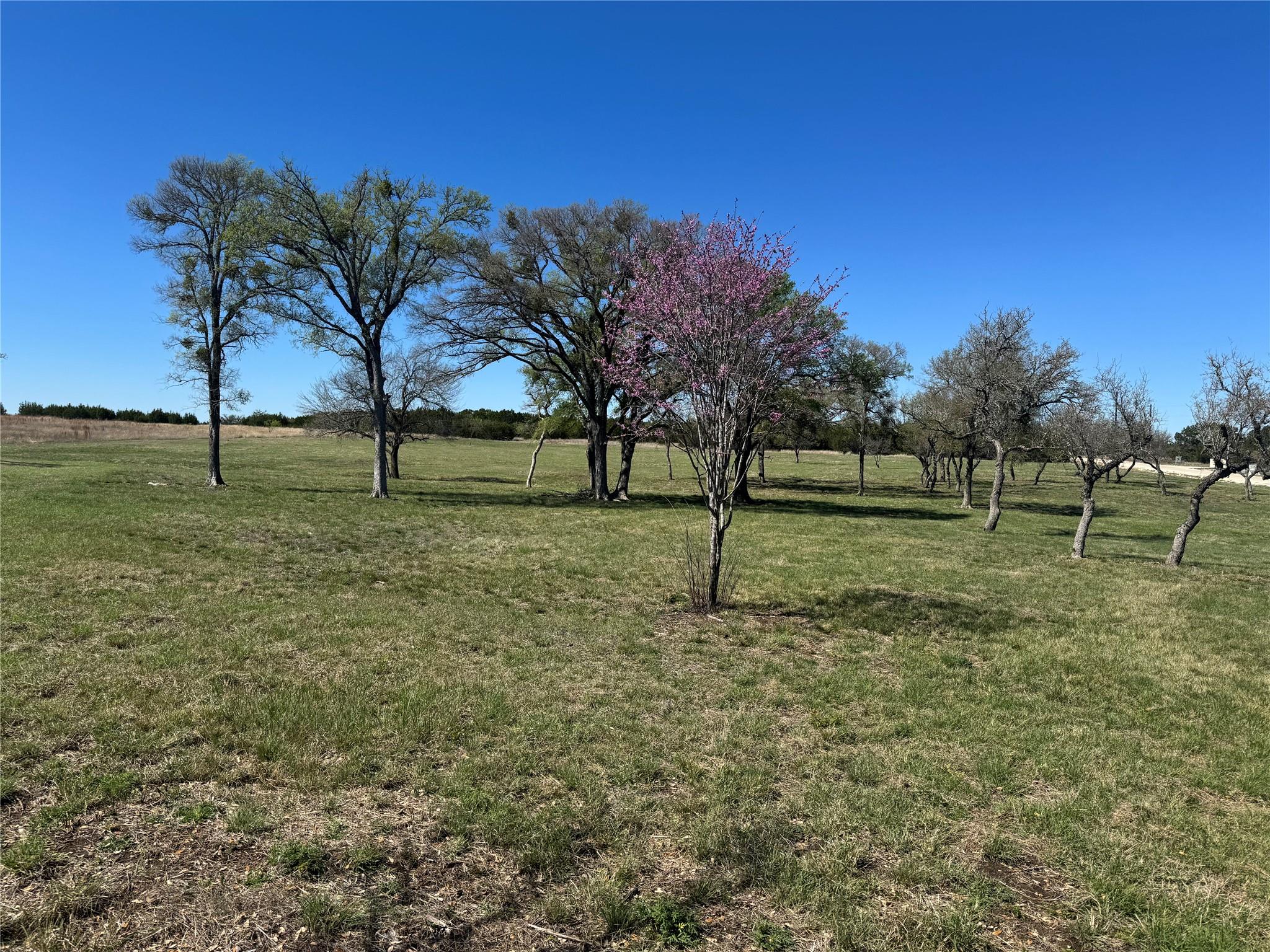 Tract 34 Burnet Oaks Dr — photo 1