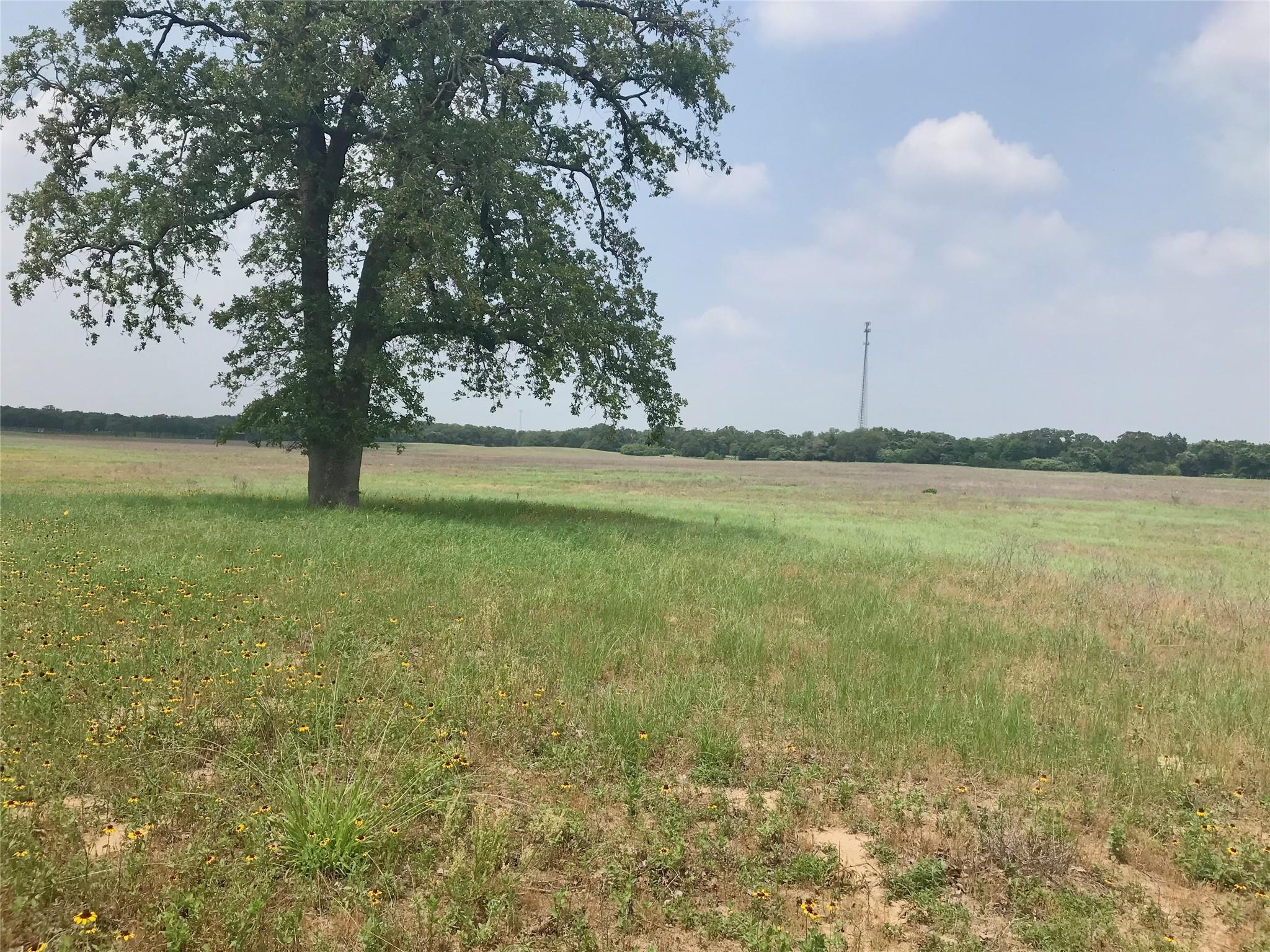 1672 Sayers Rd #Tract 1 — photo 1