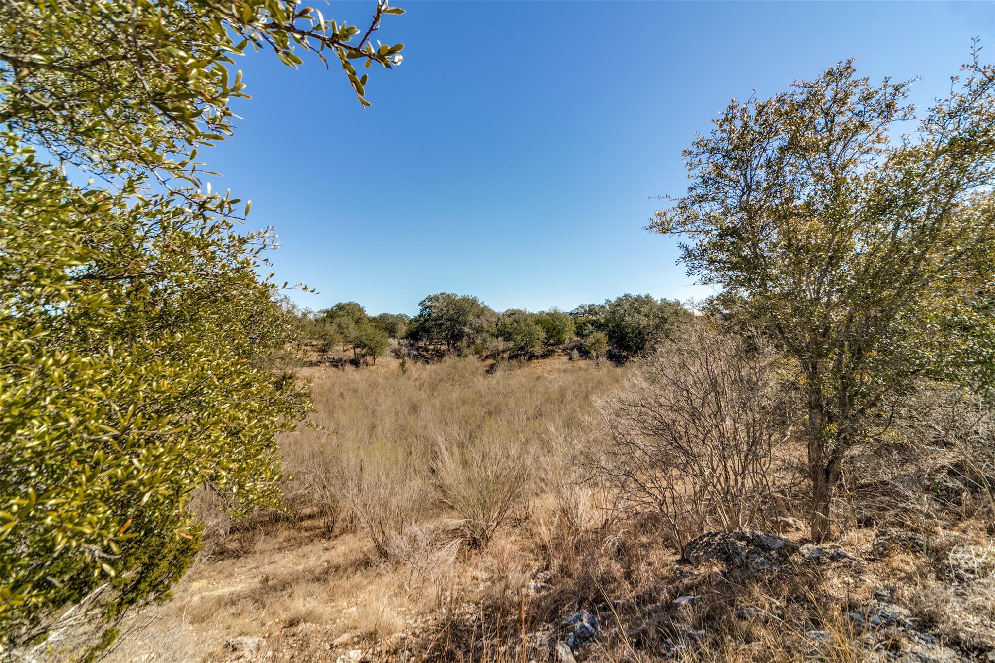 Lot 85  Palomino Springs None