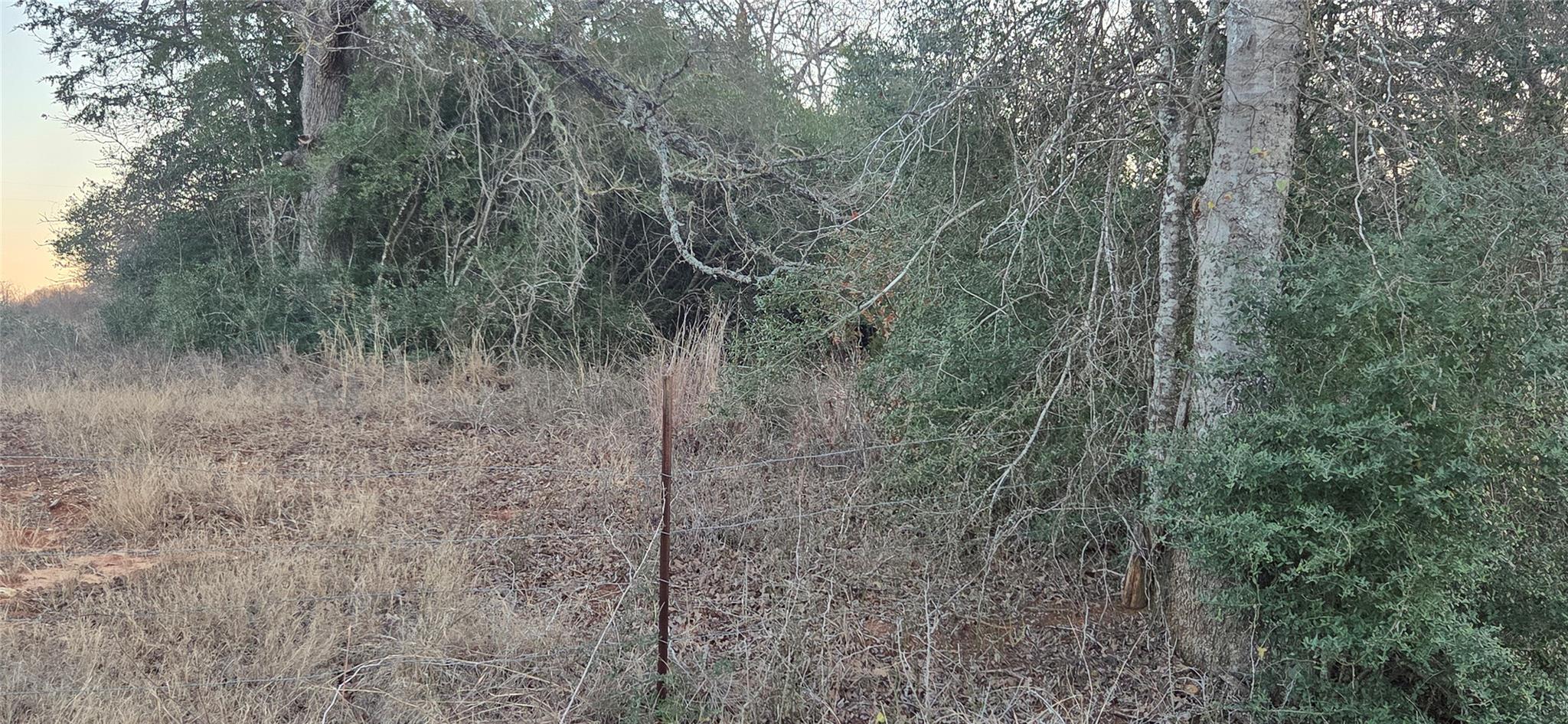 314 County Road Lot 8 TBD Rd — photo 1