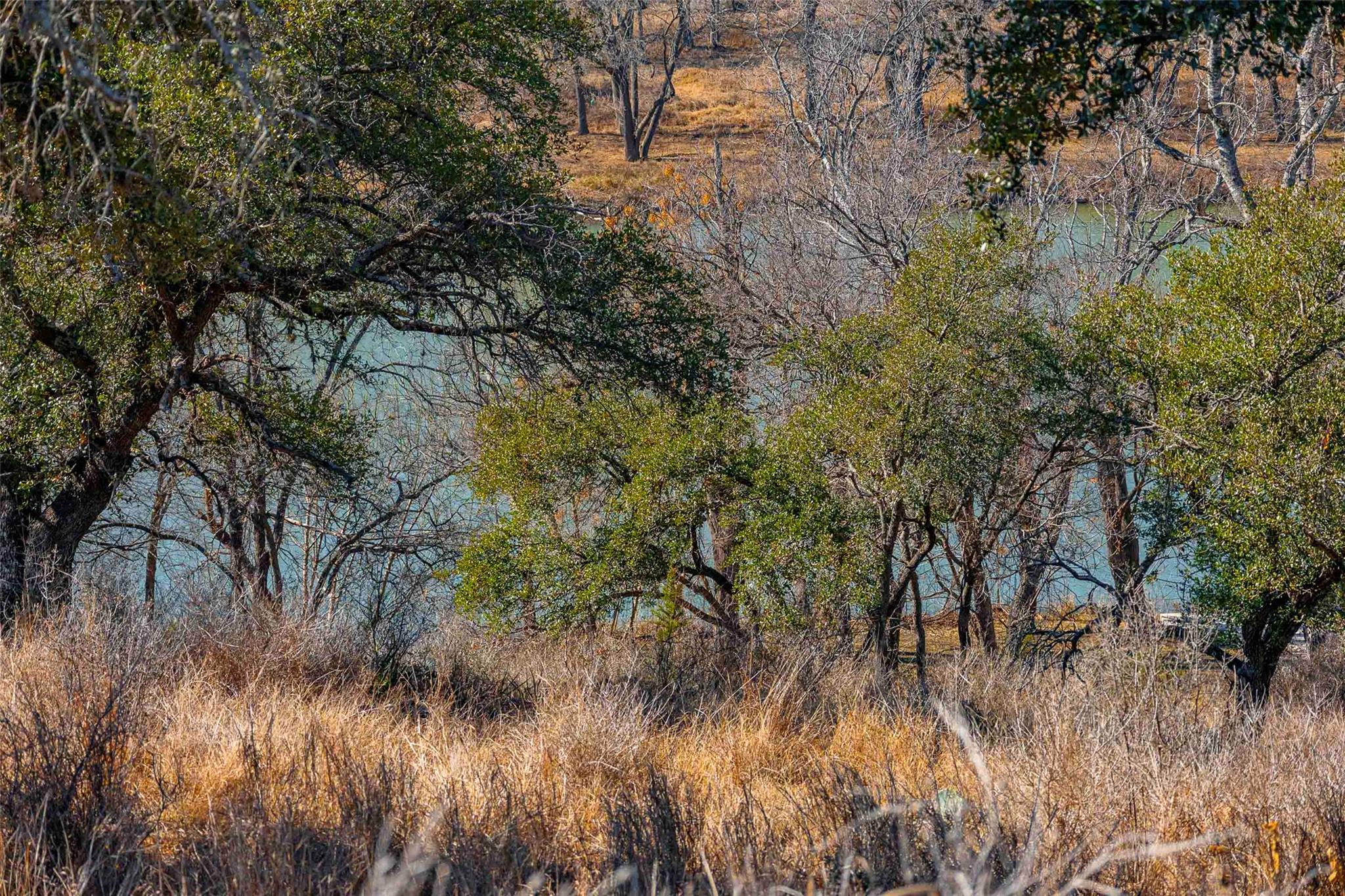 000 River Pl — photo 1