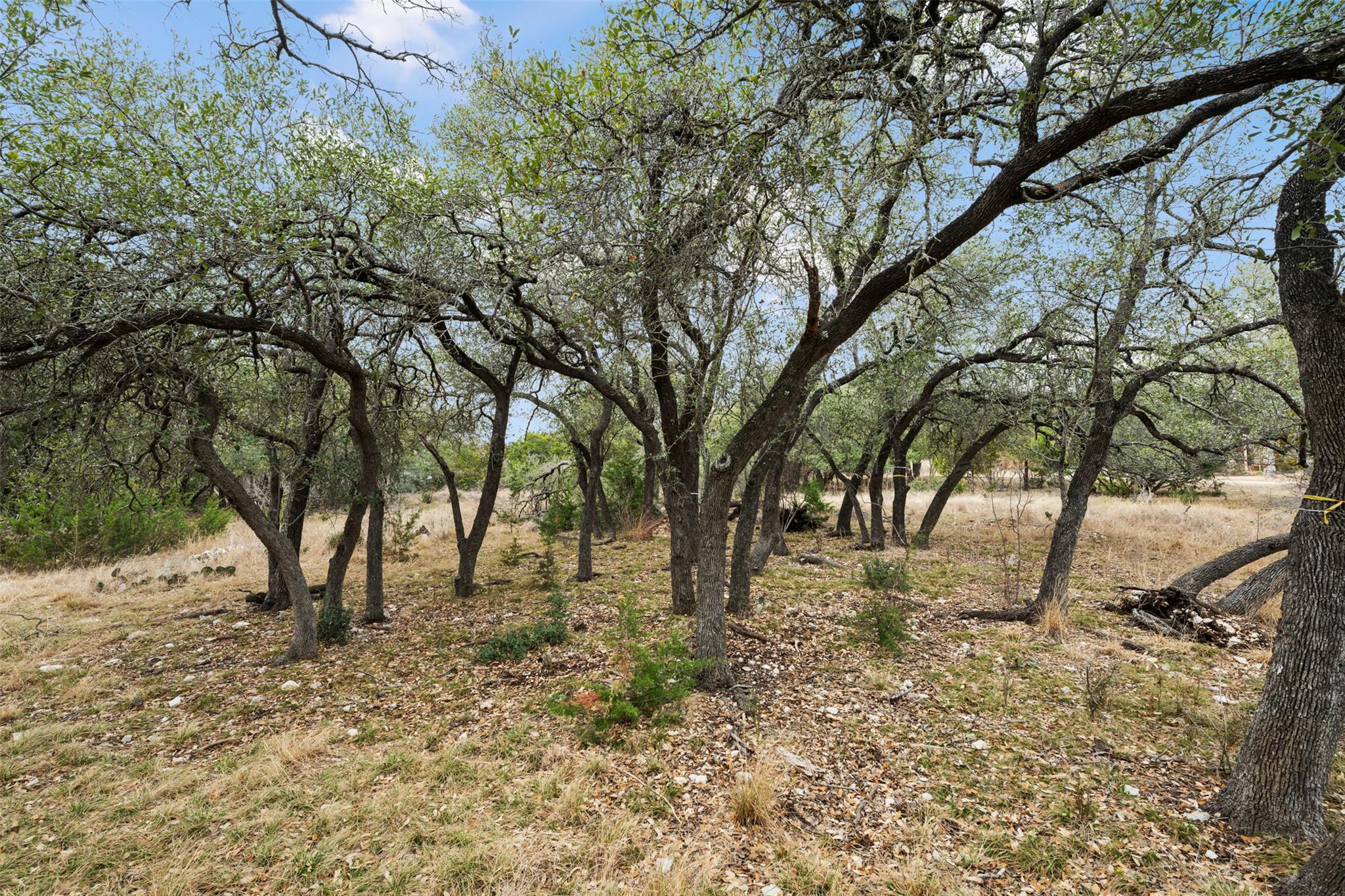 408 Ridge View Dr — photo 1