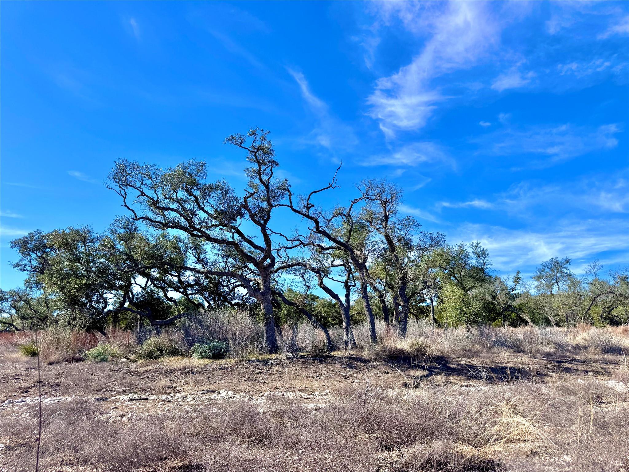 TBD tract  91  Citadel Dr