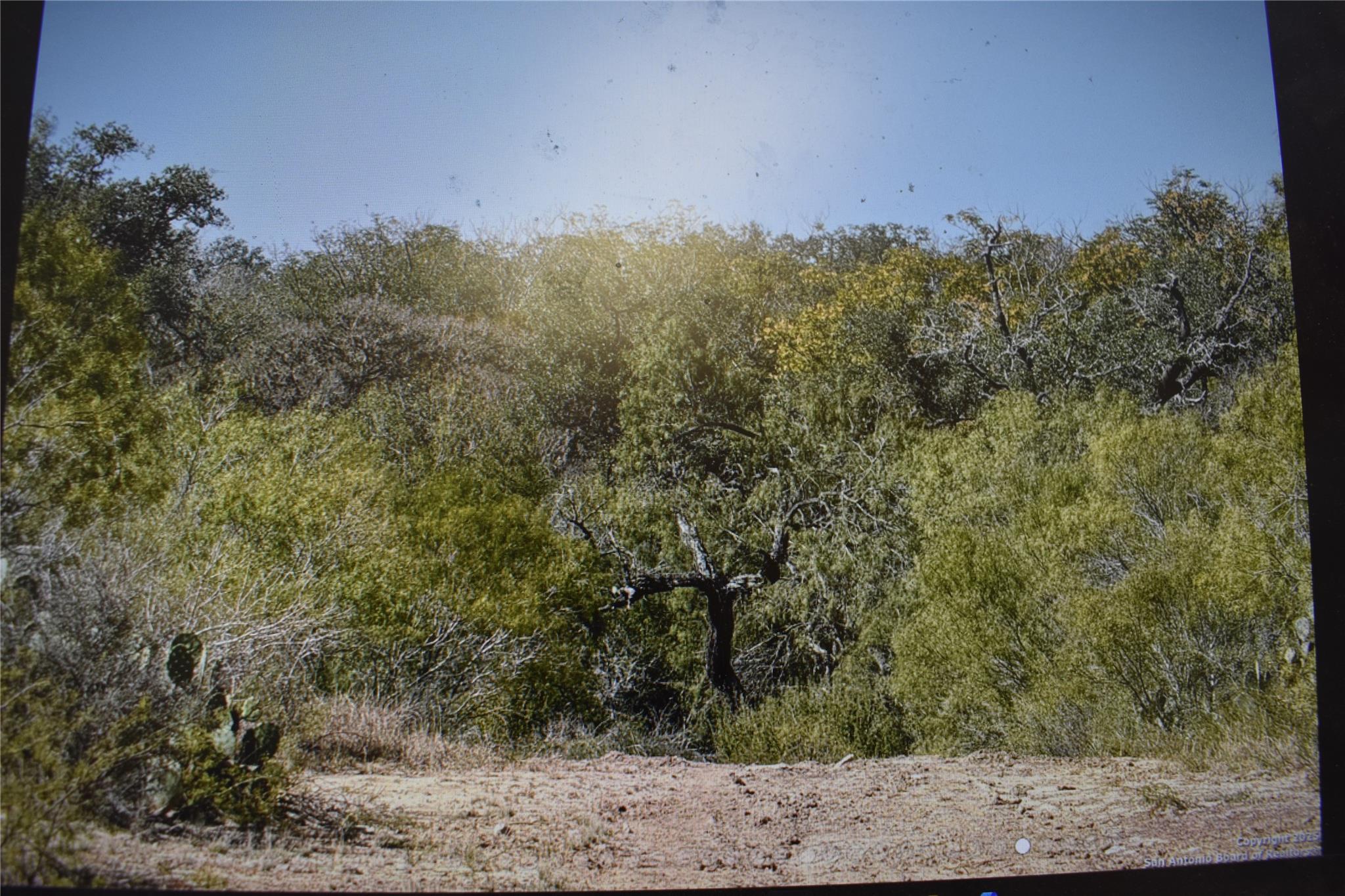 Photo 4