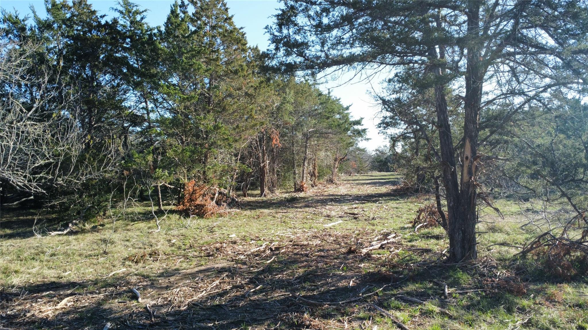 TBD Lot 7 Patterson Rd — photo 1