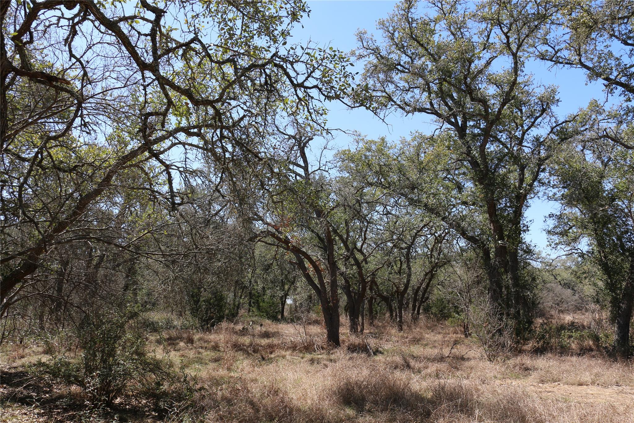 5688 Fm 2325 None — photo 1