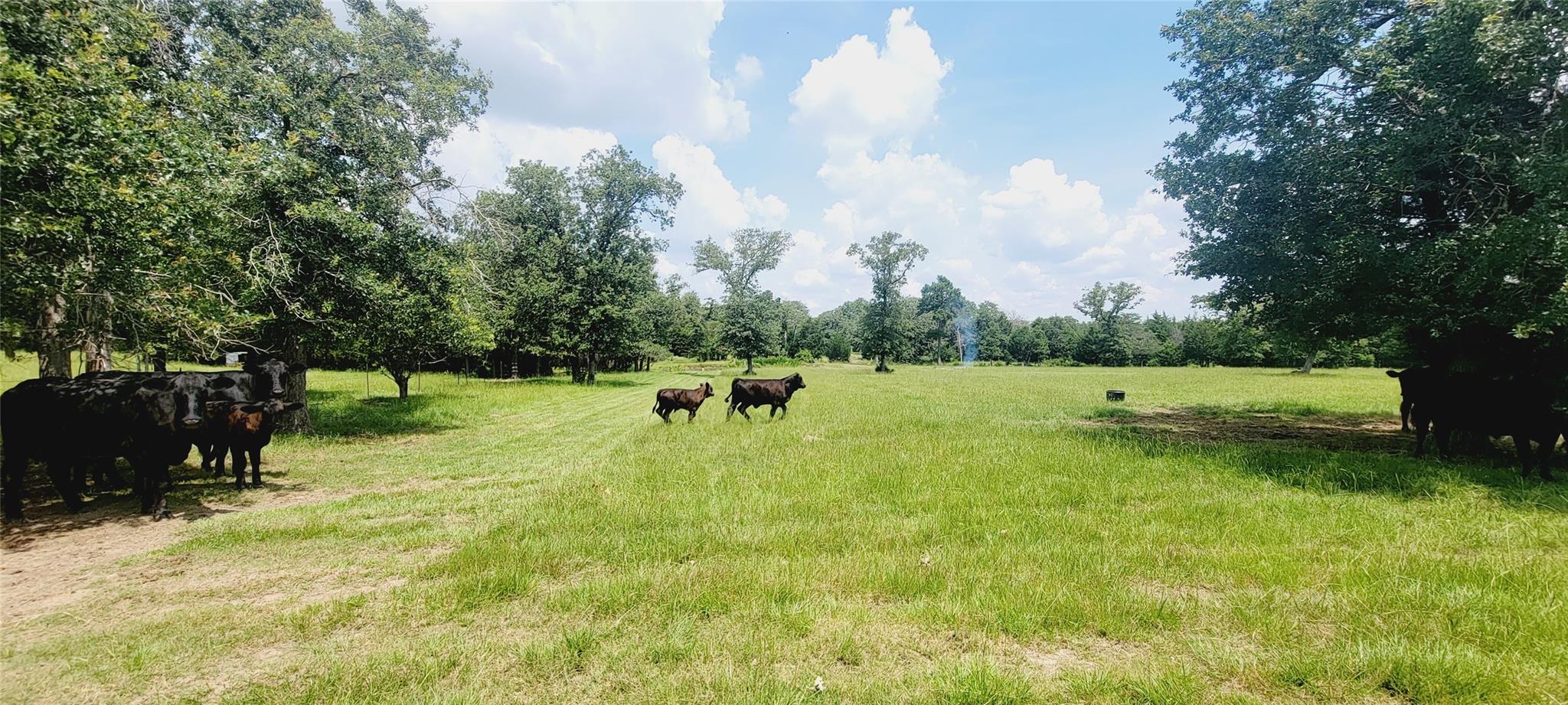 3321 County Road 457 None — photo 1