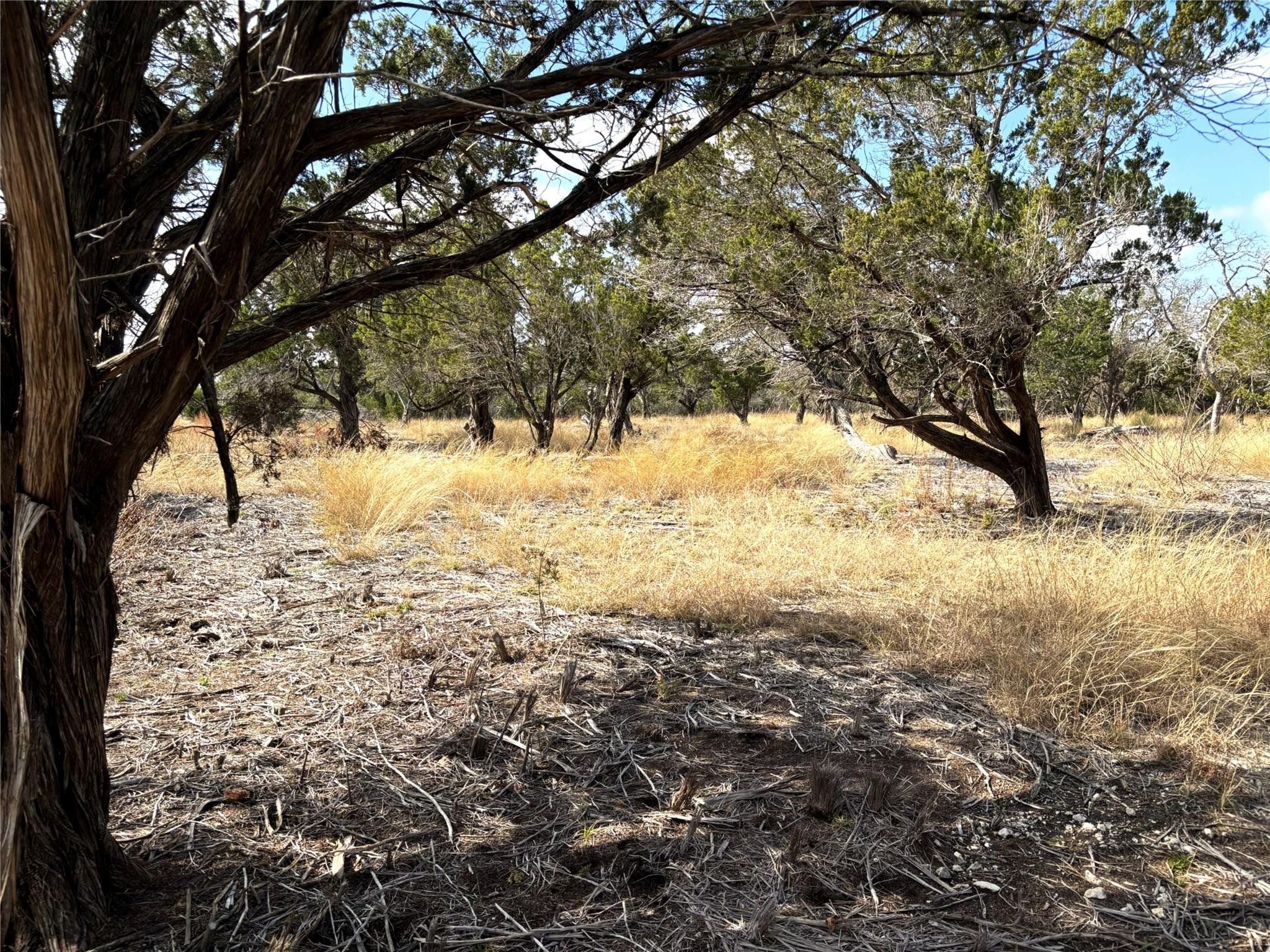 Tract 7 Burnet Oaks None — photo 1