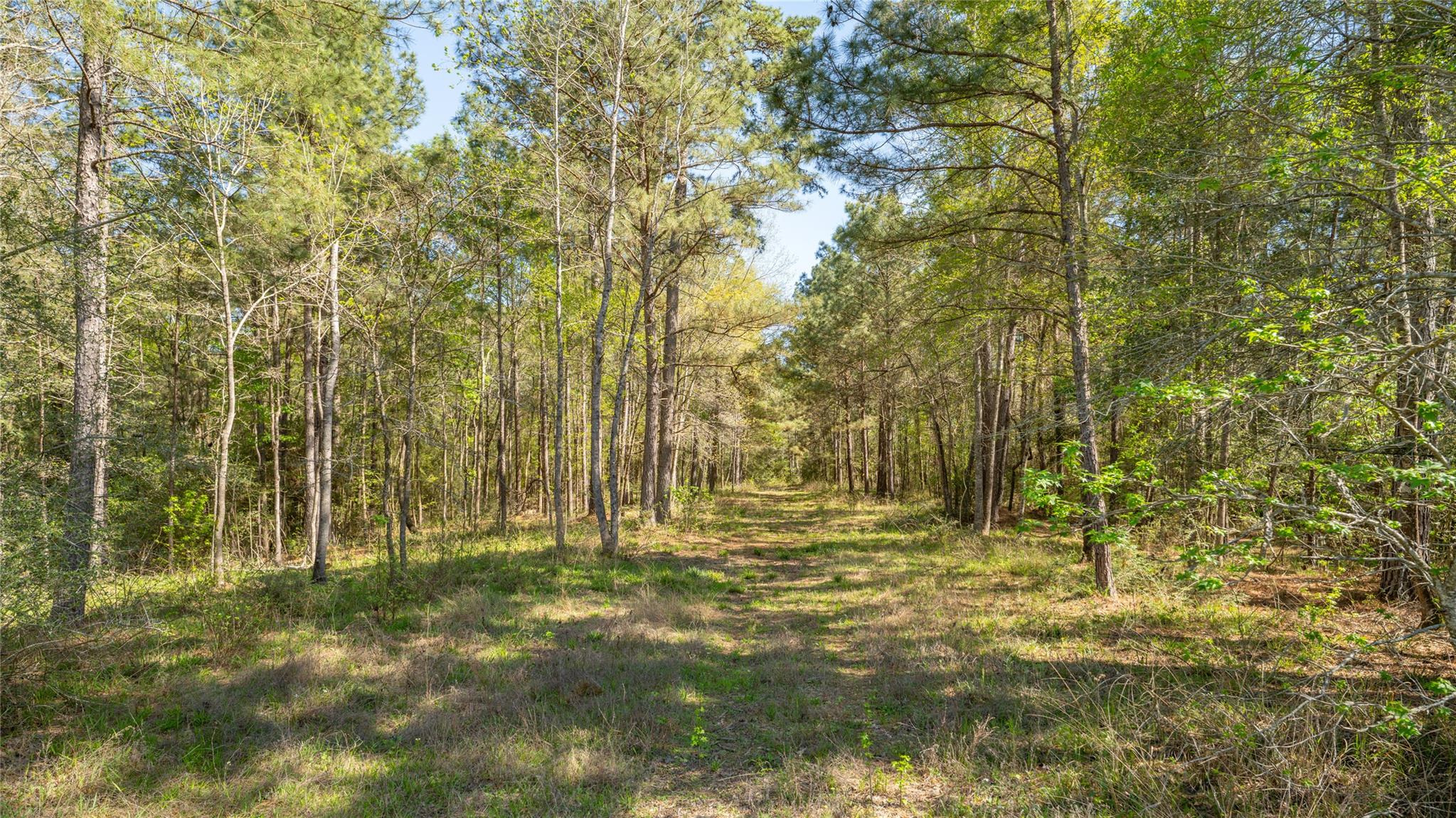 000 Bighorn Rd — photo 1