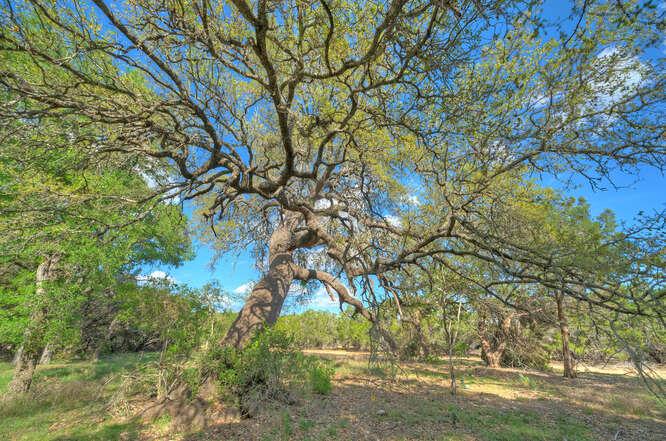 Star Gazer Lot 8 Stargazer Dr — photo 1