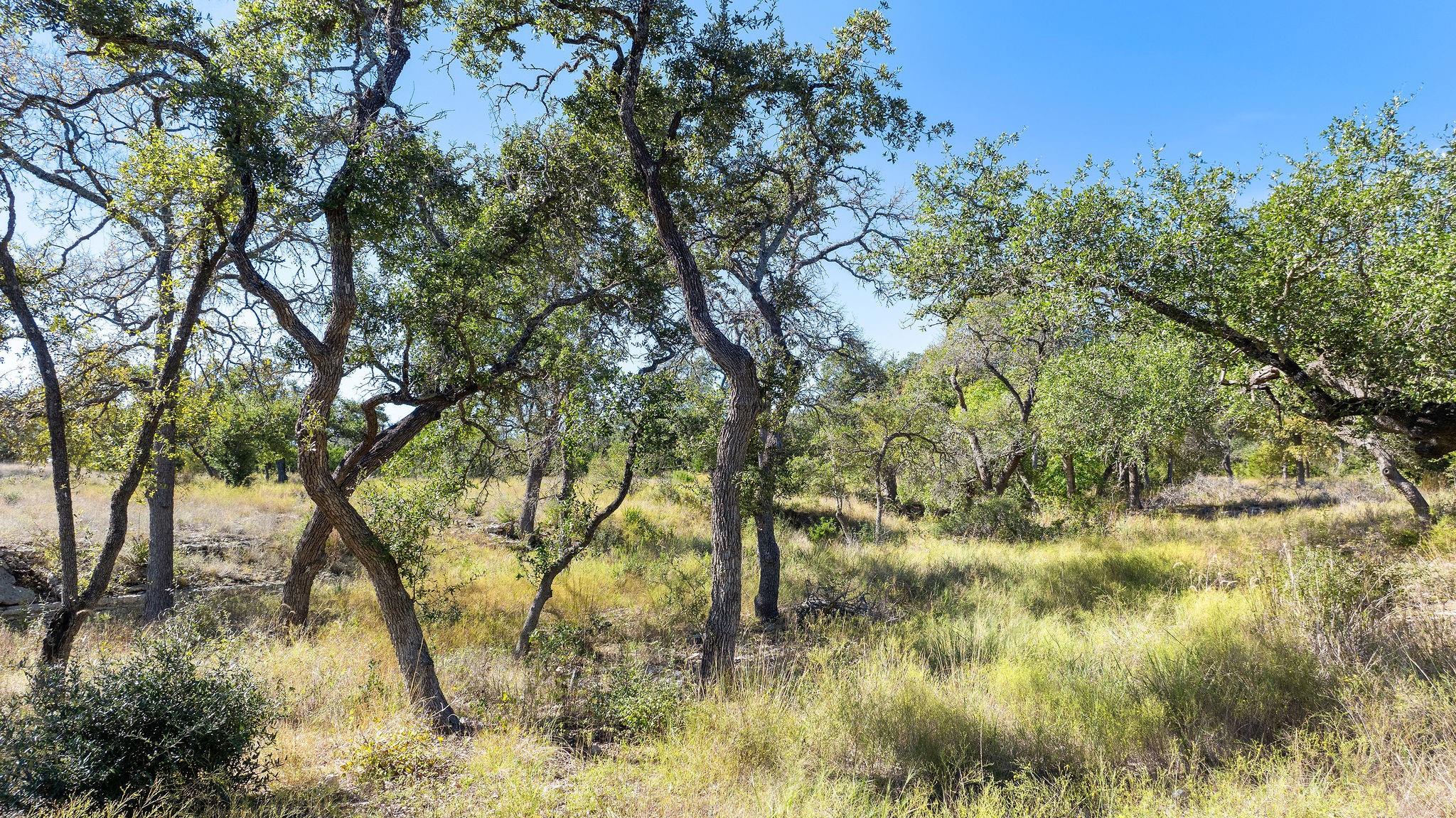 Lot 18 Mesa Ranch Rd — photo 1