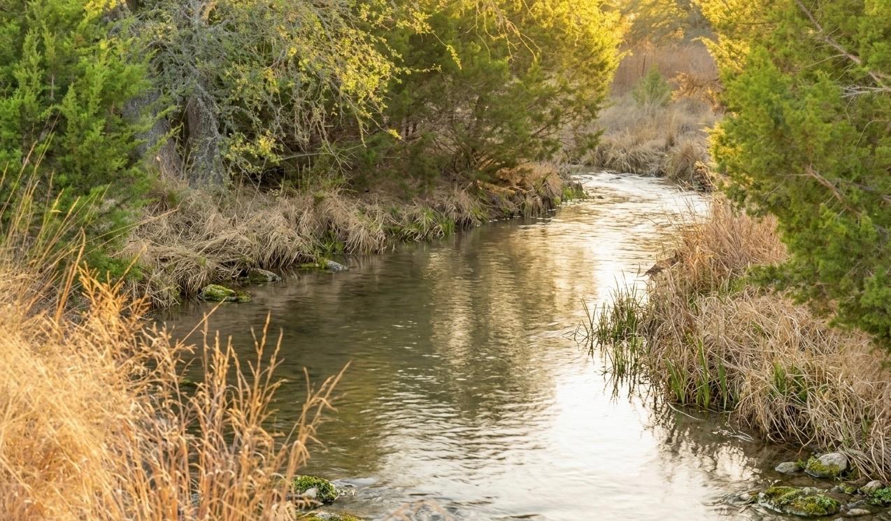 2227 Klein-Ahrens Rd — photo 1